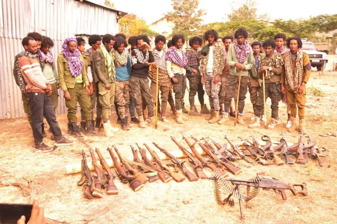 የመንግሥትን የሰላም ጥሪ የተቀበሉ ታጣቂ ኃይሎች በሰላም መግባታቸውን ቀጥለዋል